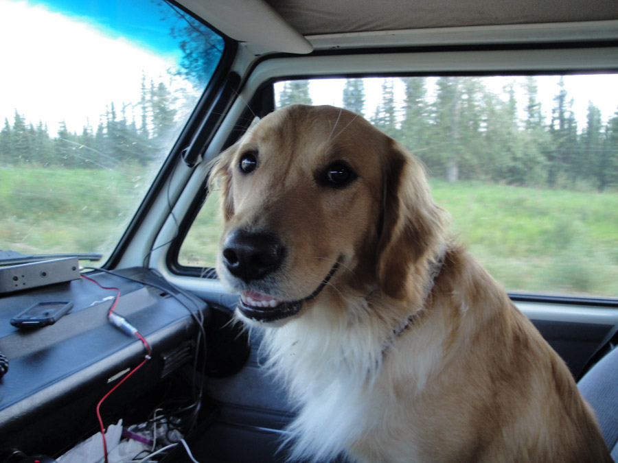 Image may have been reduced in size. Click image to view fullscreen.