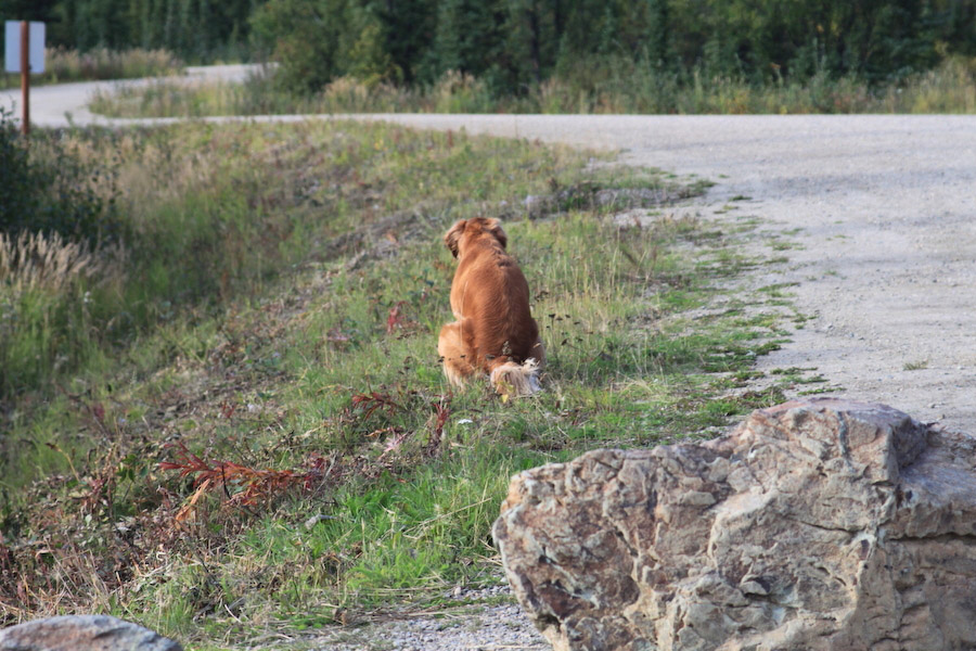 AK_0805.jpg