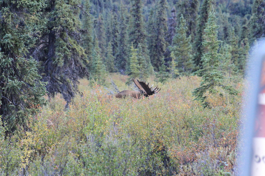 Image may have been reduced in size. Click image to view fullscreen.