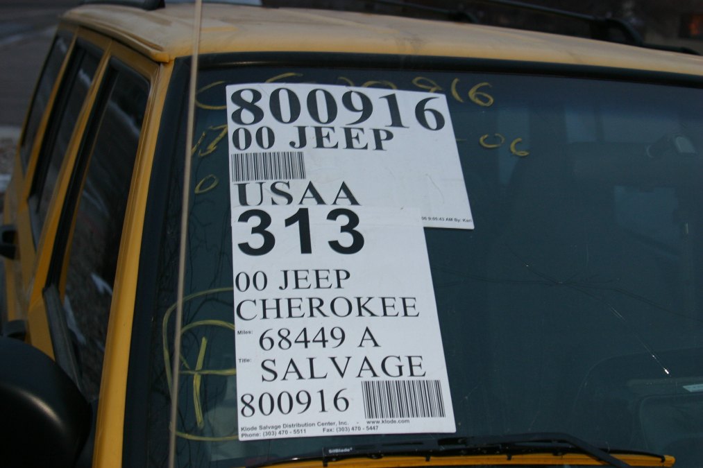 yellow11.jpg