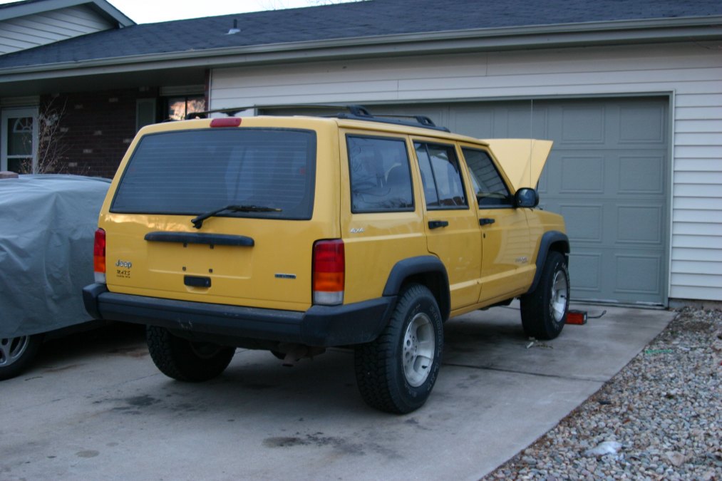 yellow3.jpg