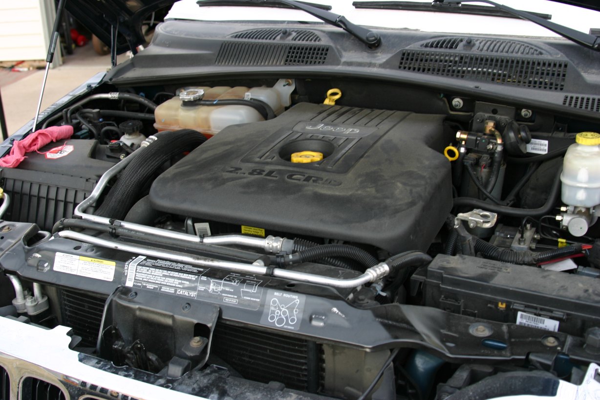 yellow49.jpg