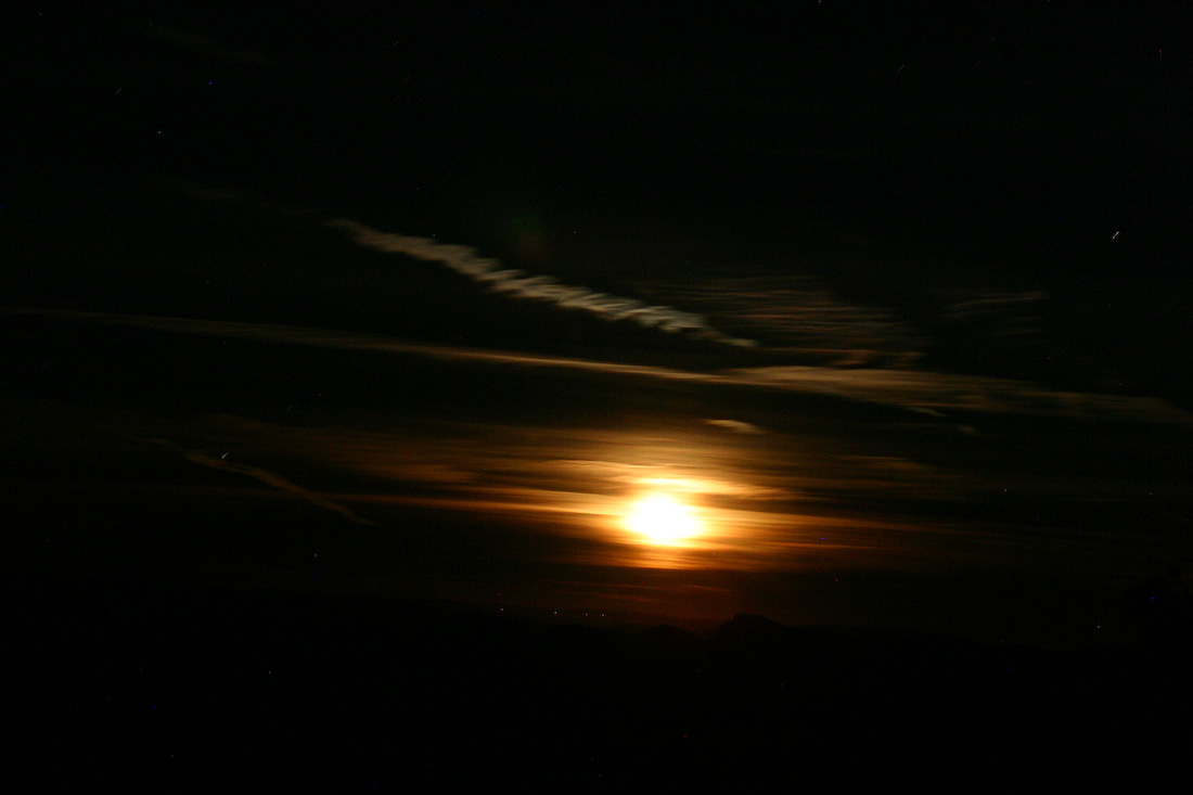November 19, 2005