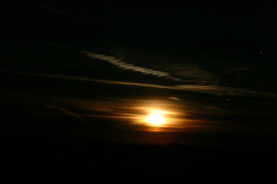 November 19, 2005