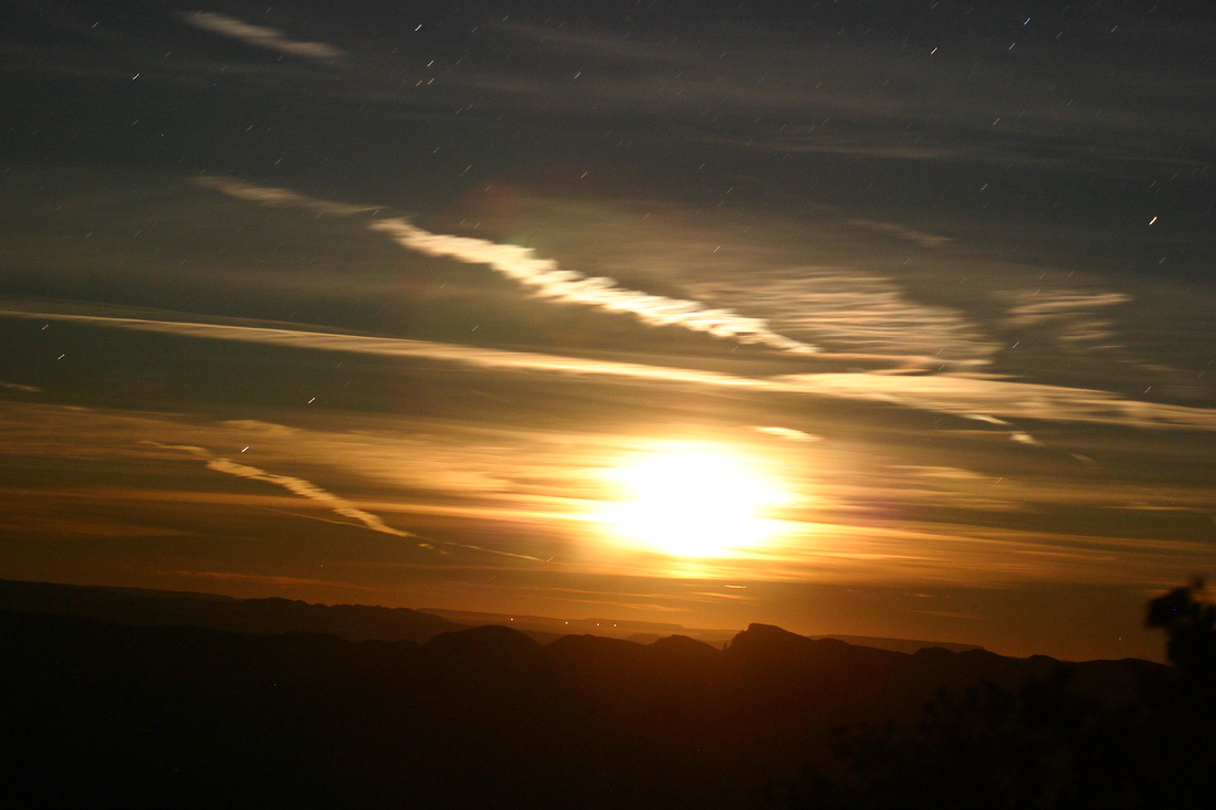 November 19, 2005