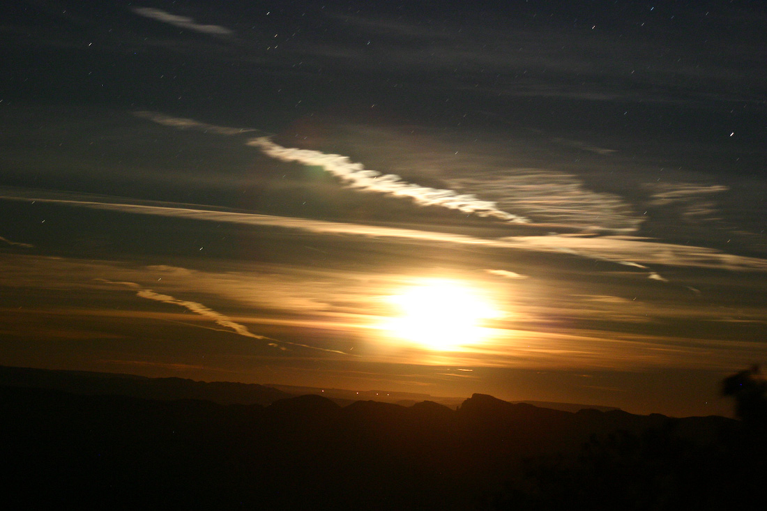 November 19, 2005