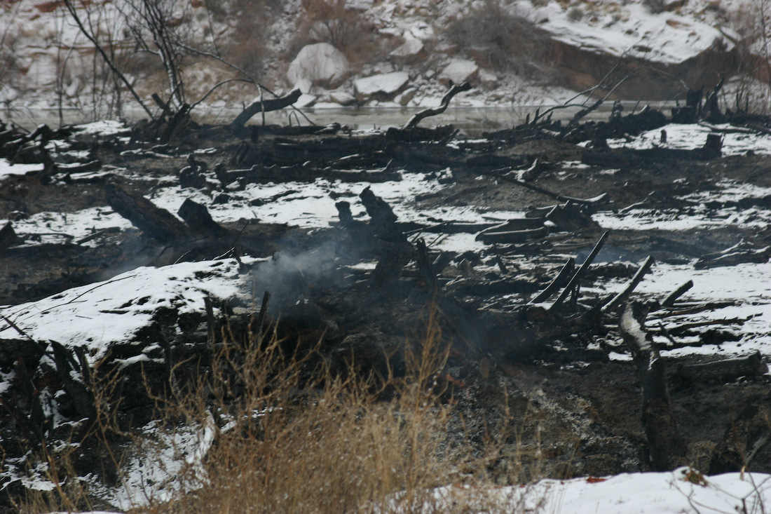 February 02, 2008