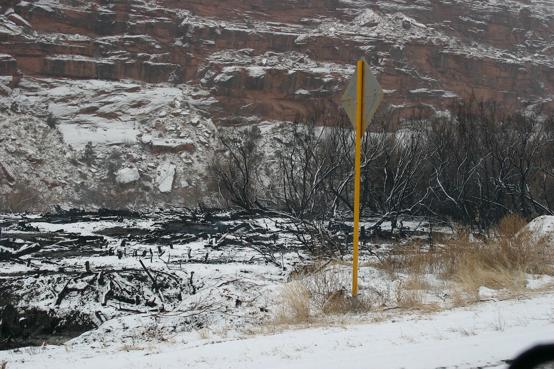 February 02, 2008