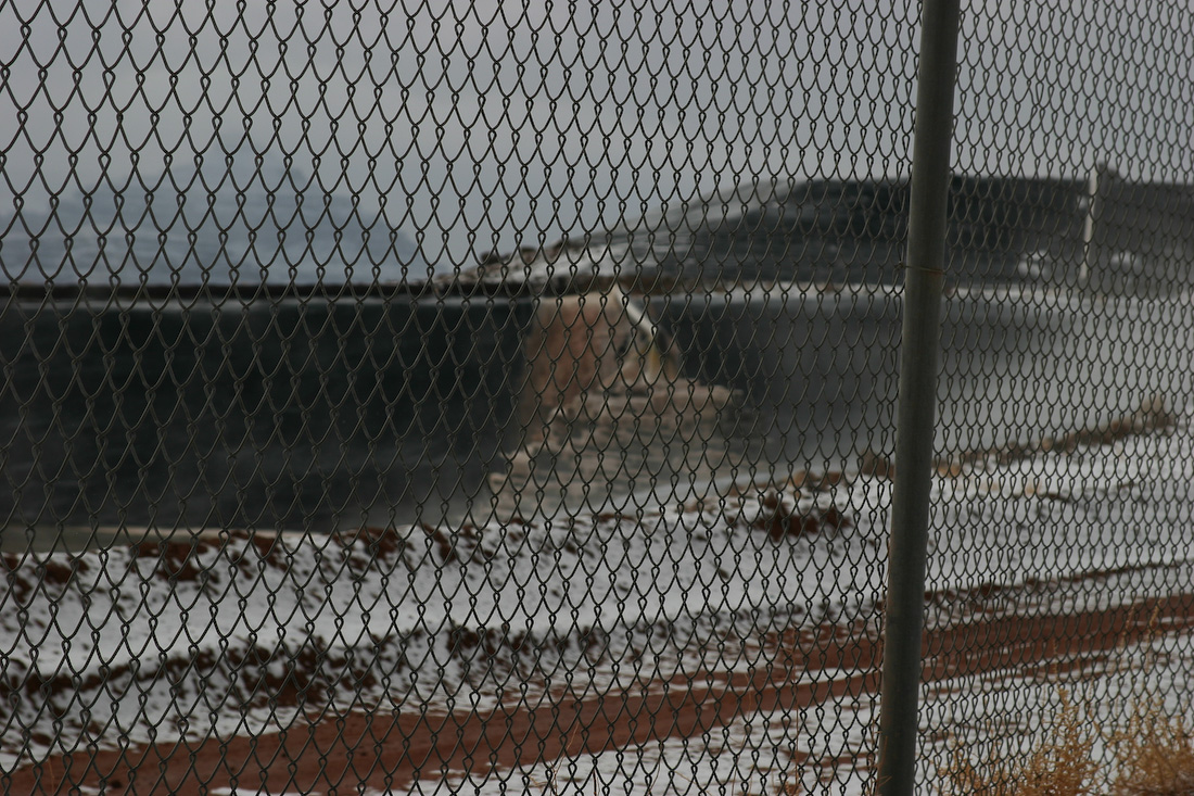 February 02, 2008