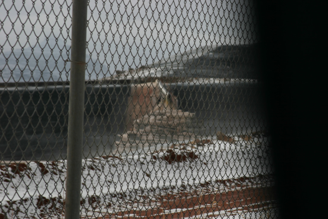 February 02, 2008