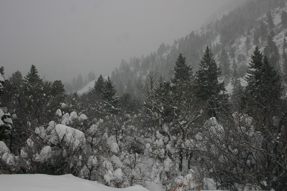 March 11, 2006