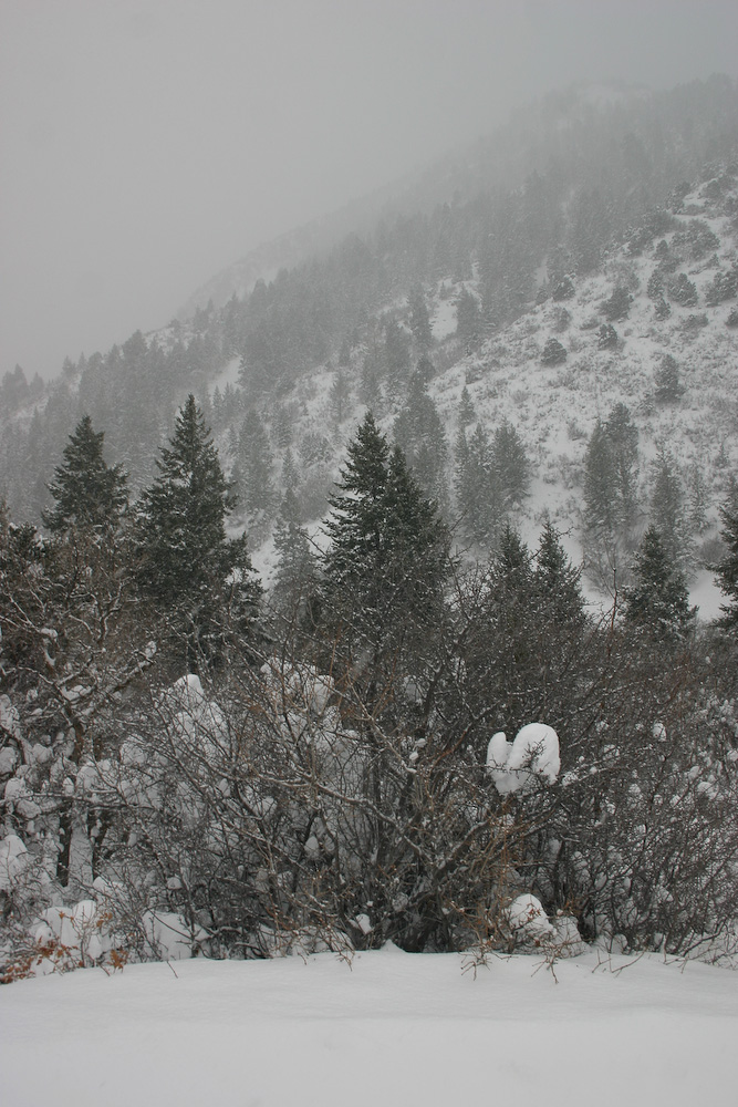 March 11, 2006