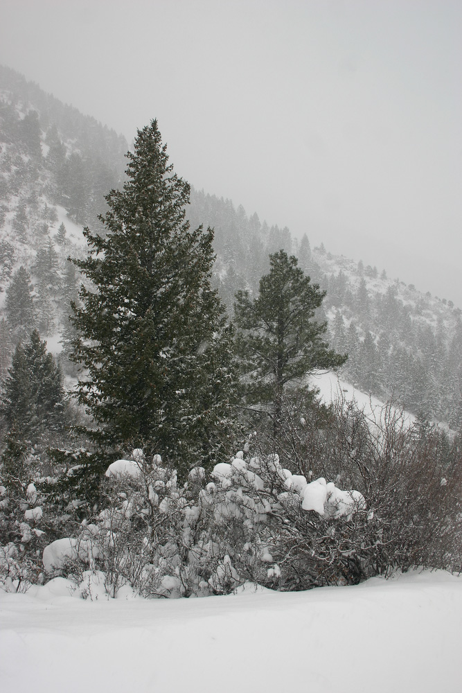 March 11, 2006