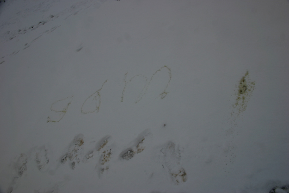 March 11, 2006