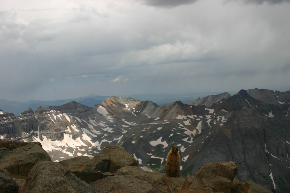 August 02, 2008