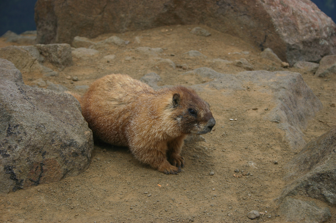 August 02, 2008