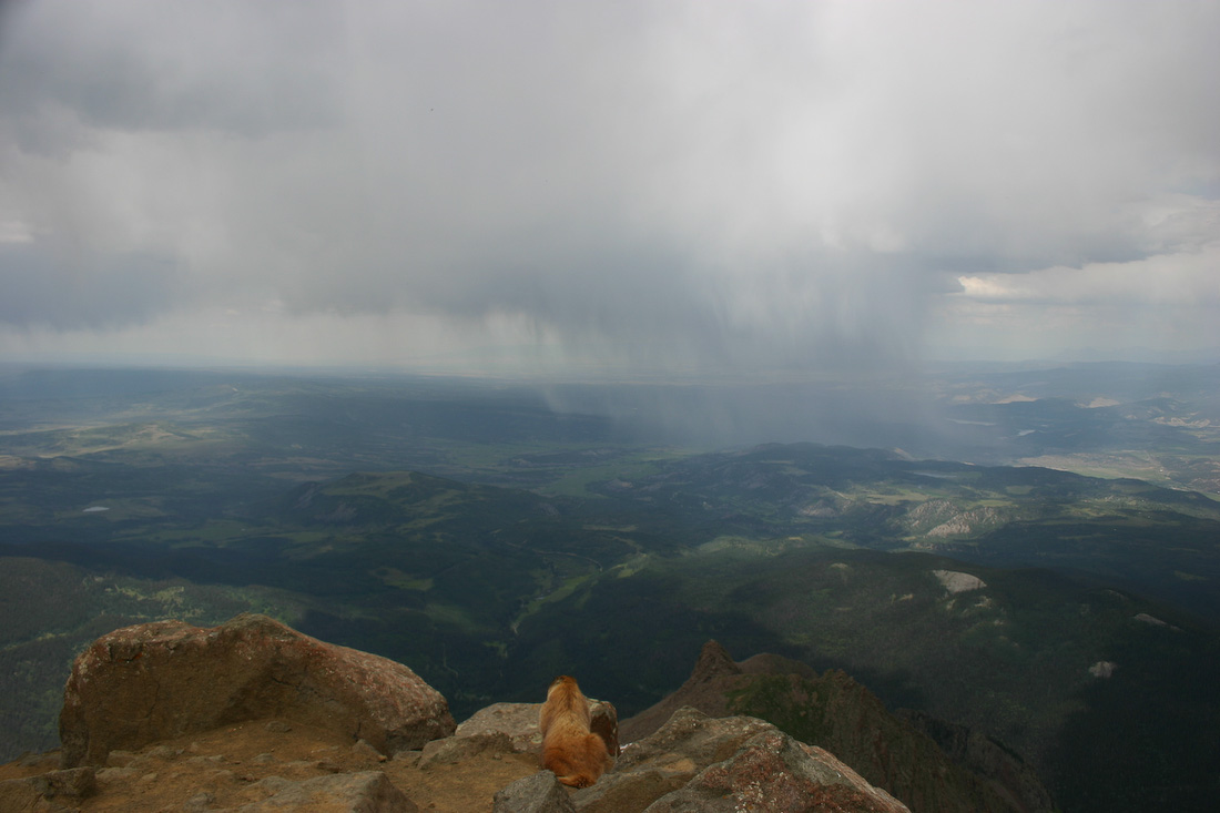 August 02, 2008