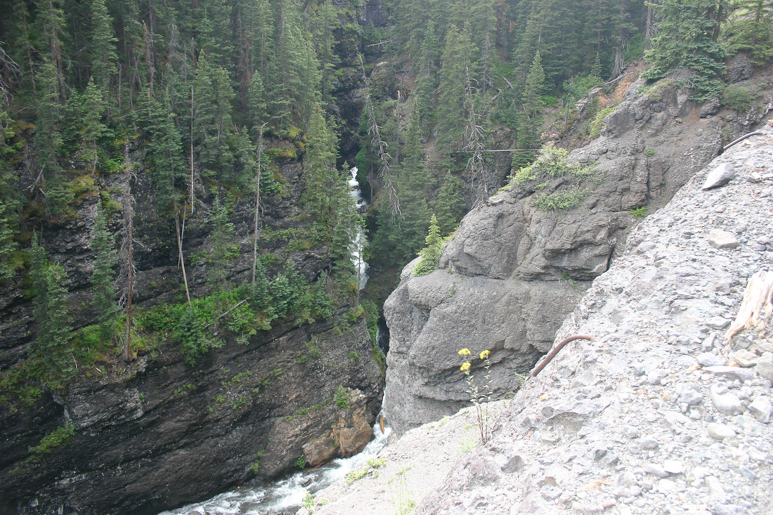 August 02, 2008