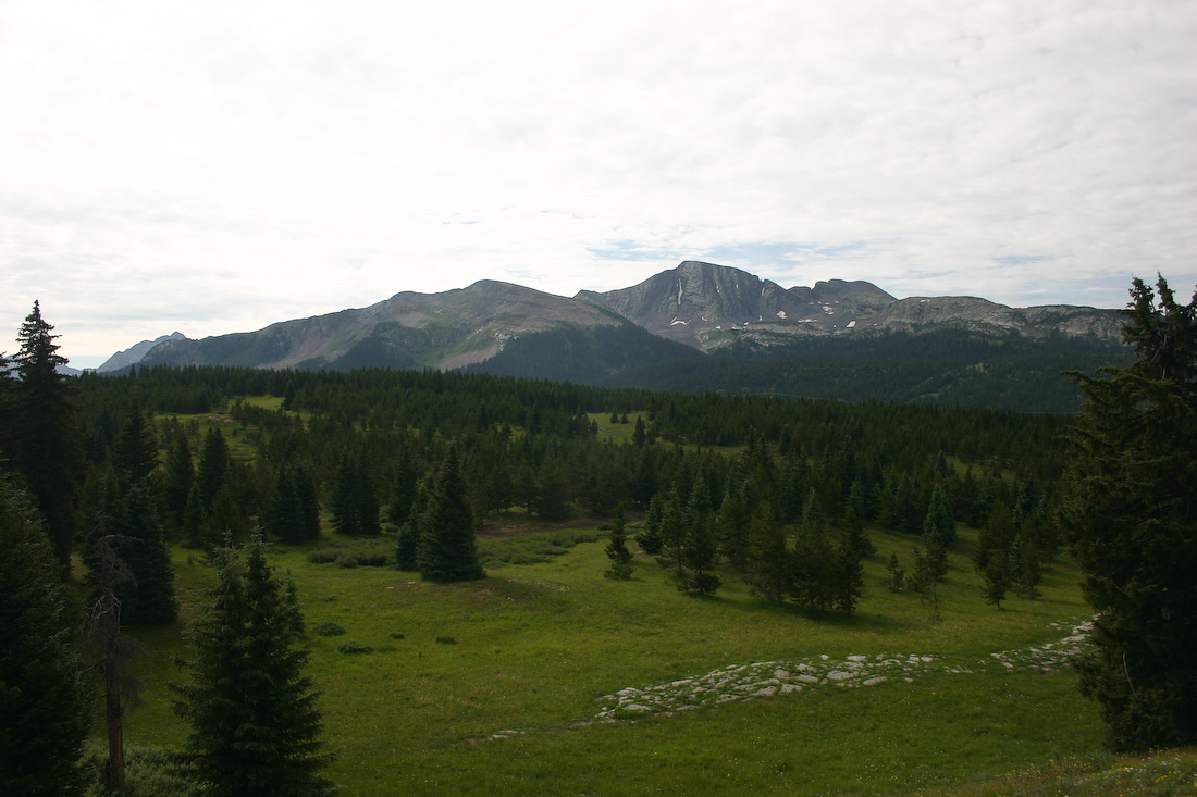 August 04, 2008