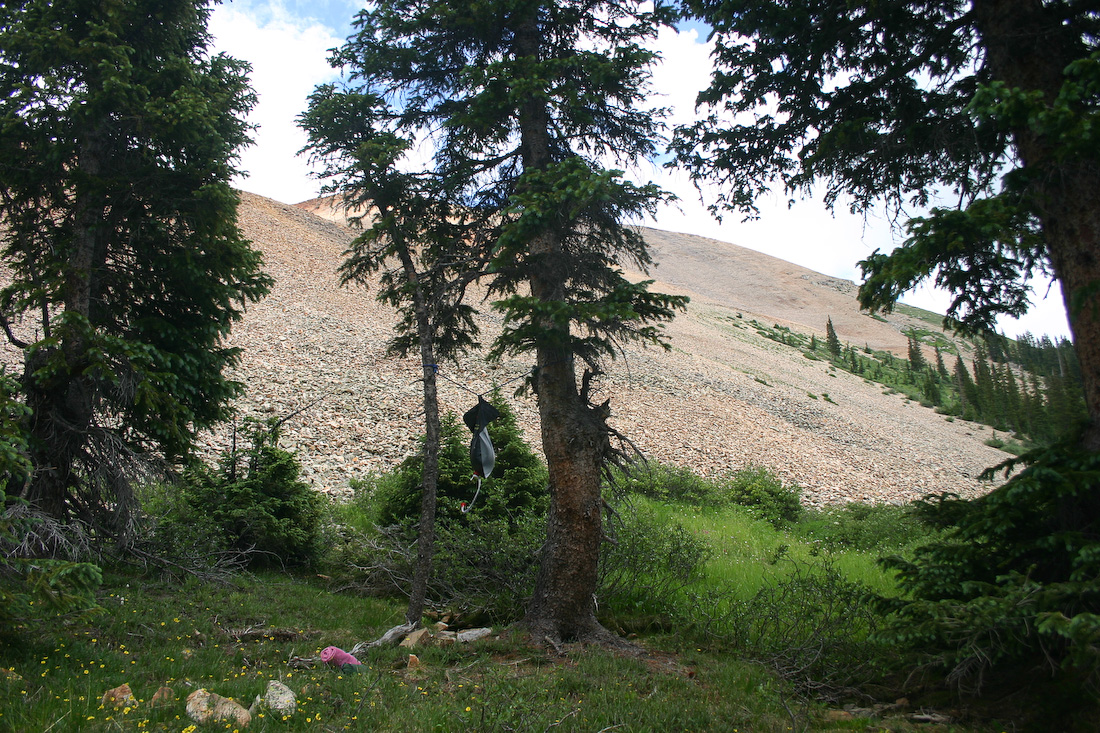 August 05, 2008