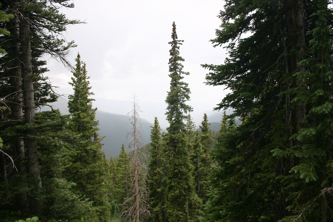 August 05, 2008