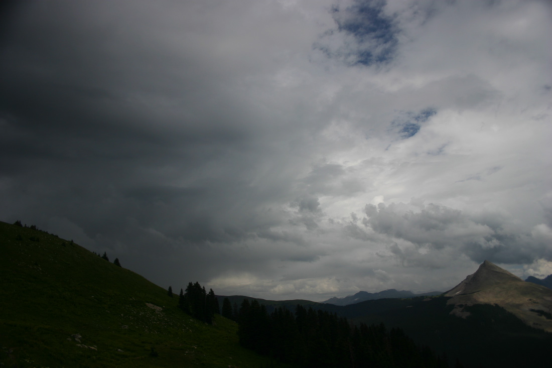 August 05, 2008