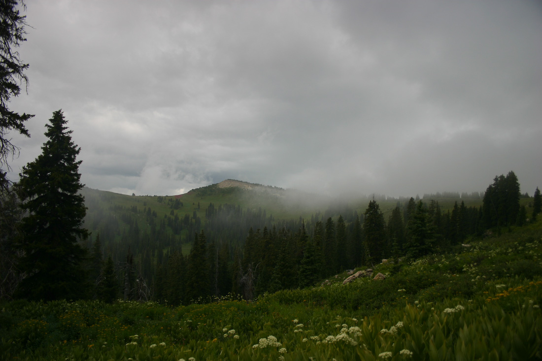 August 05, 2008