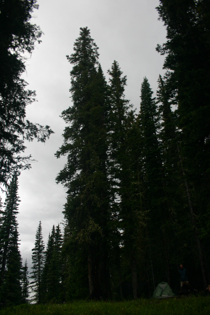 August 05, 2008