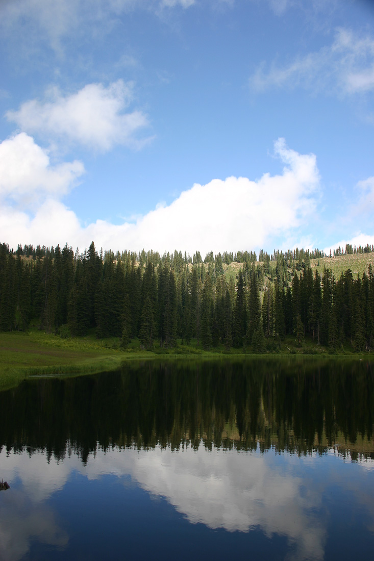 August 06, 2008