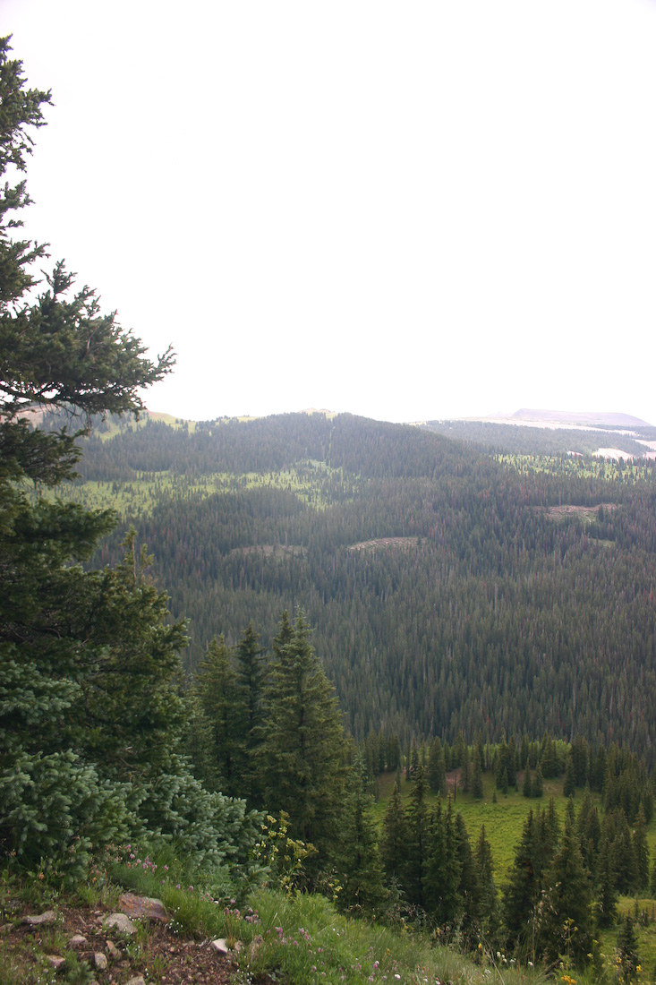 August 06, 2008