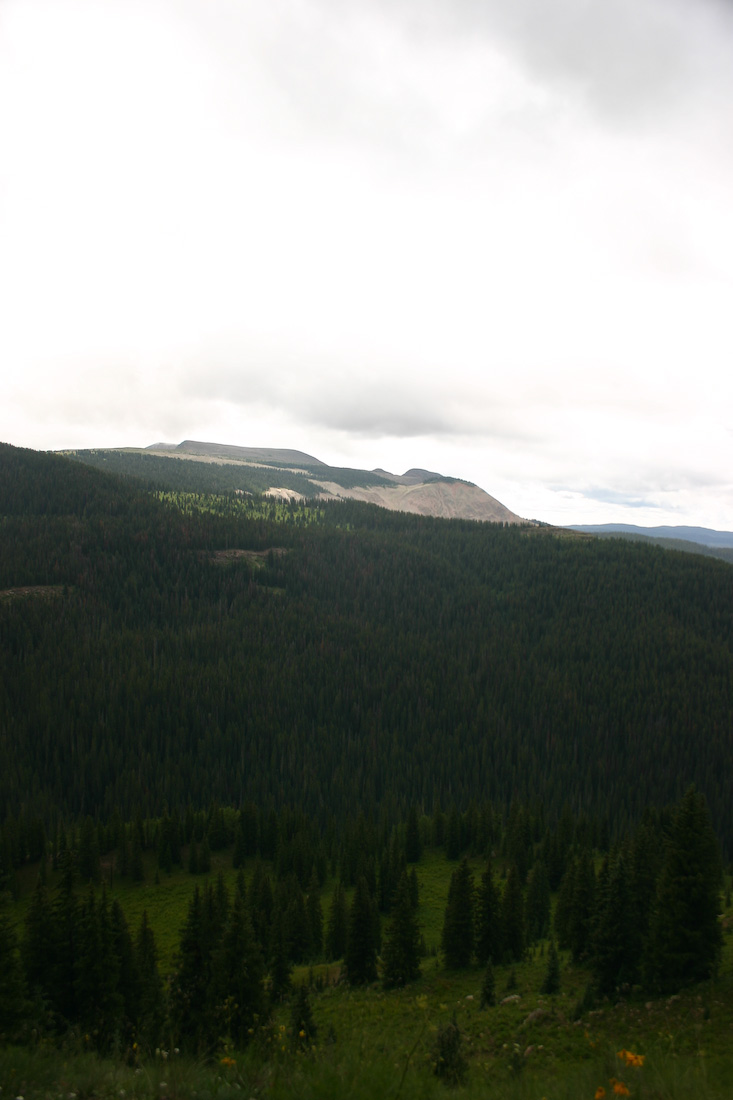 August 06, 2008