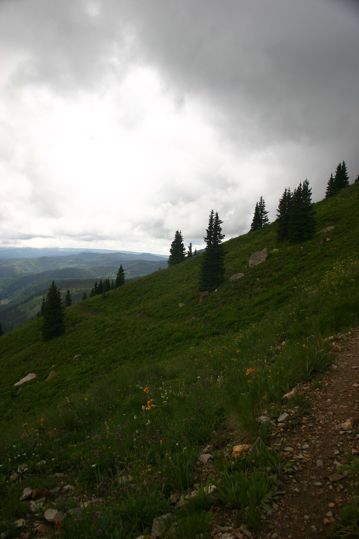 August 06, 2008