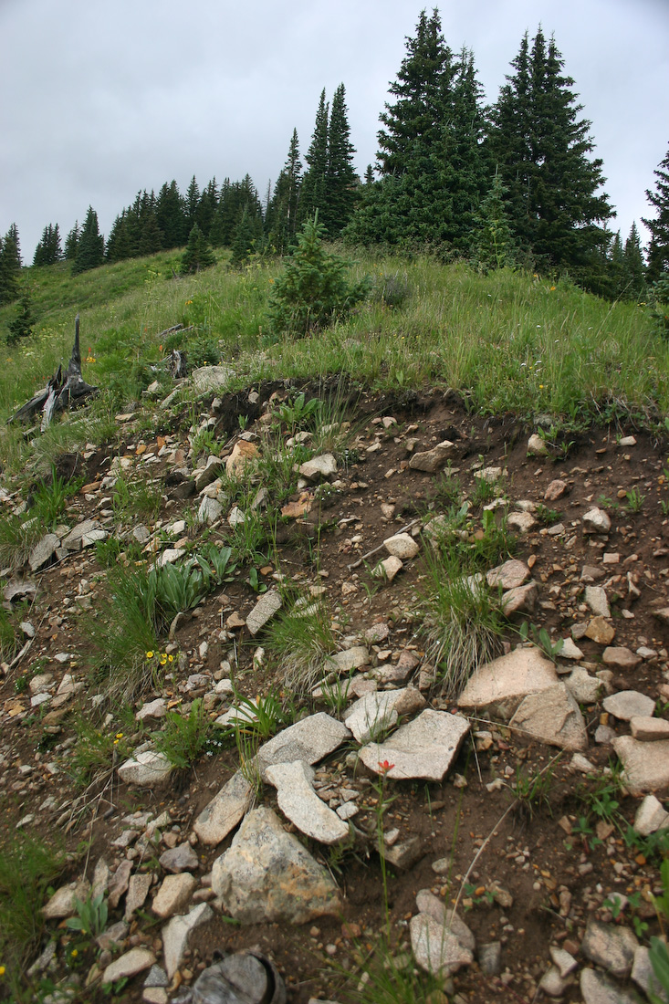 August 06, 2008