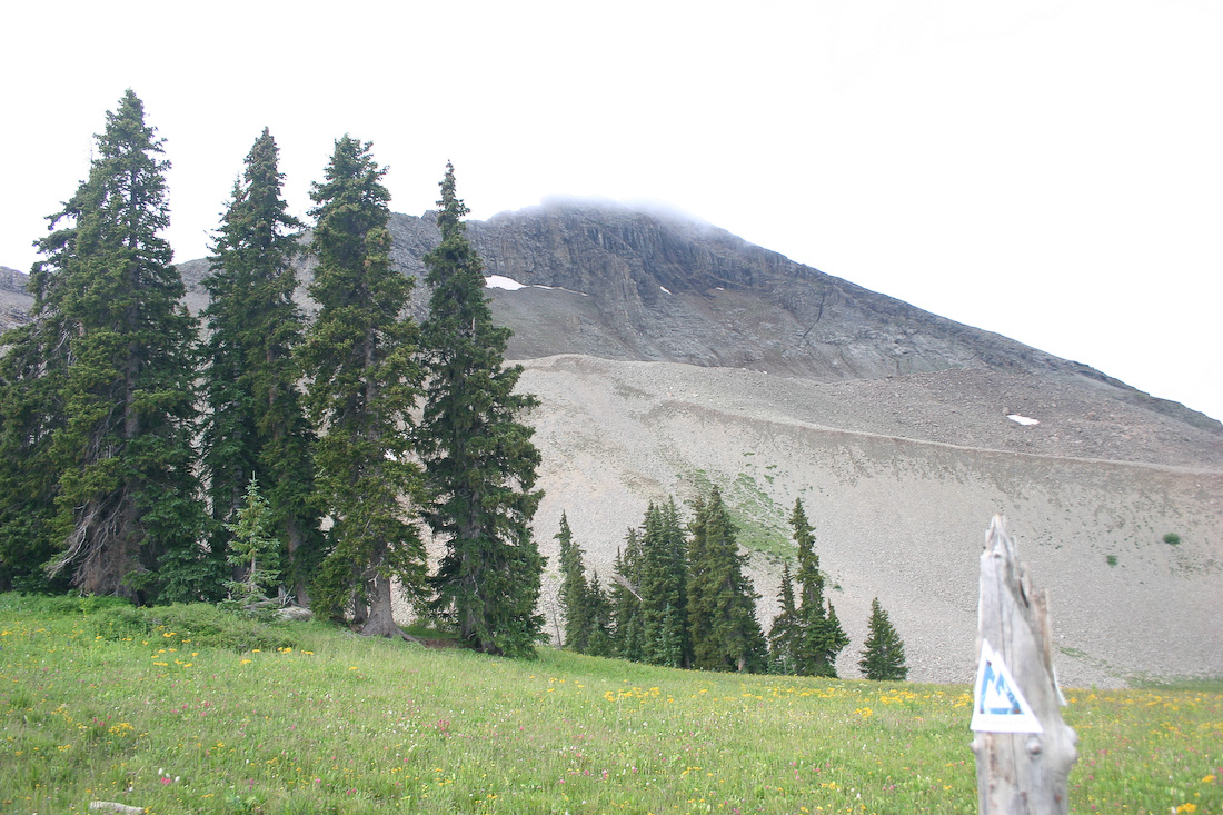 August 06, 2008