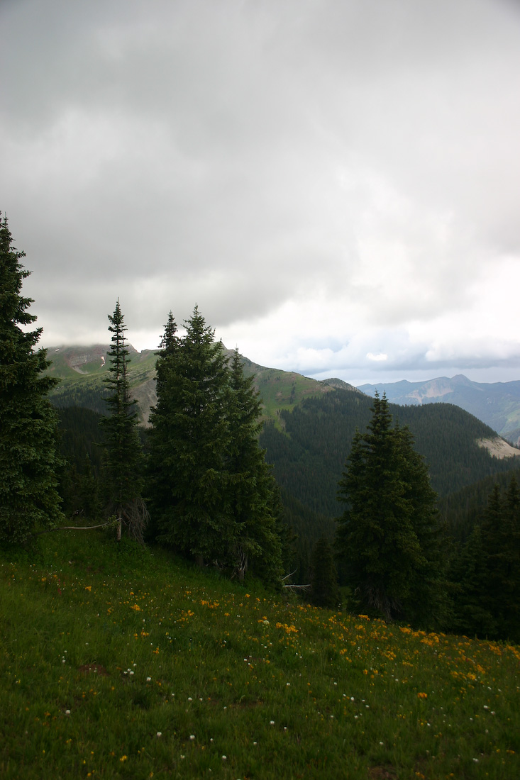 August 06, 2008
