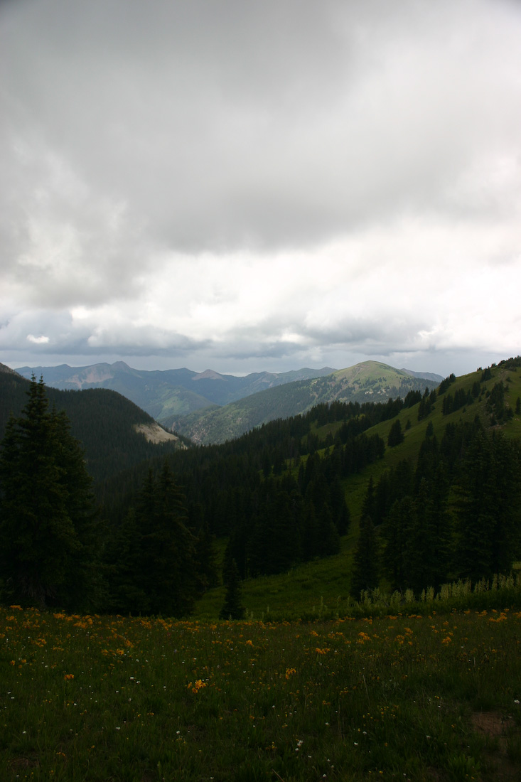 August 06, 2008