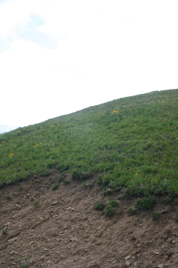 August 06, 2008