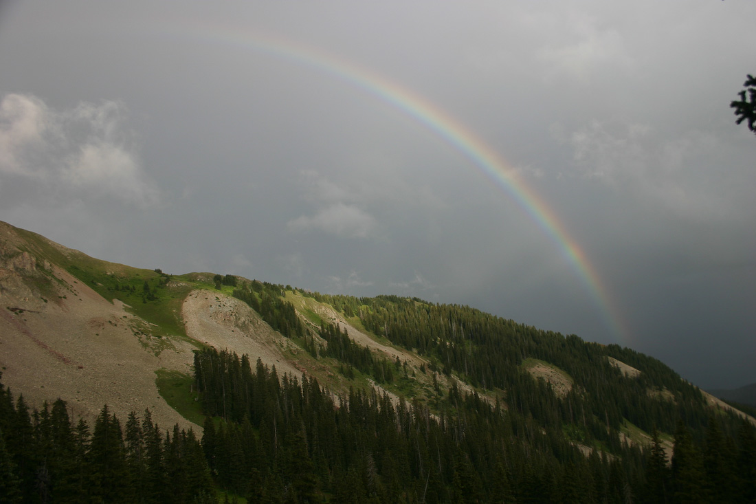 August 06, 2008