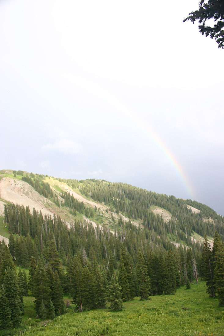 August 06, 2008