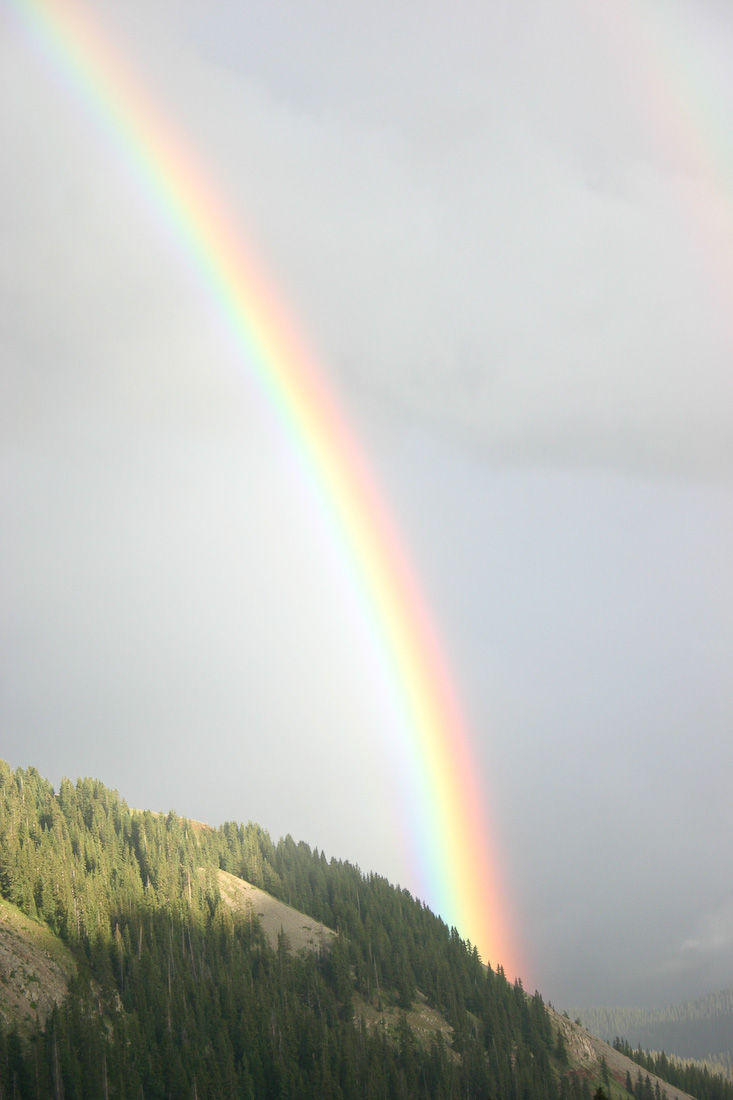 August 06, 2008