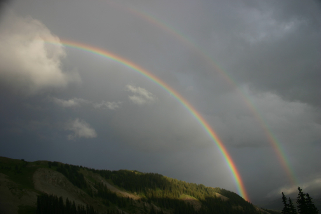 August 06, 2008