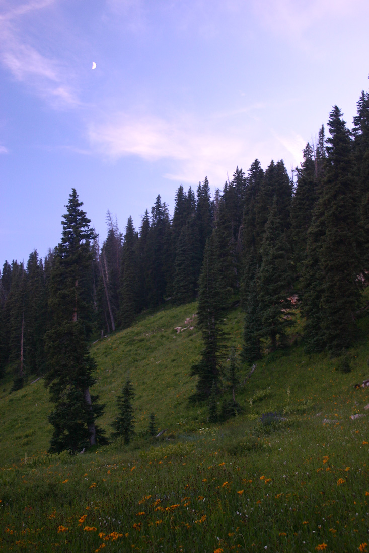 August 07, 2008