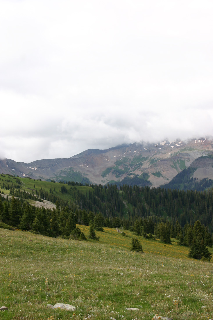 August 08, 2008