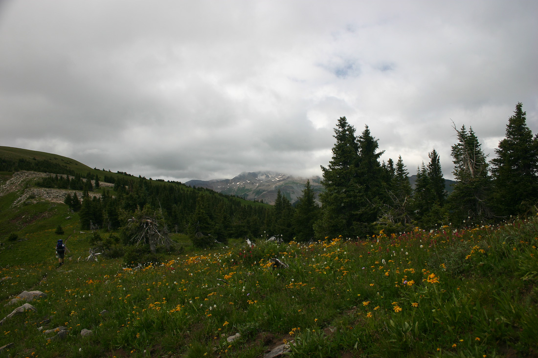 August 08, 2008