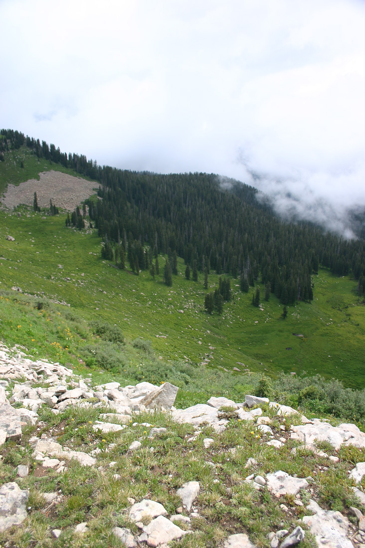 August 08, 2008