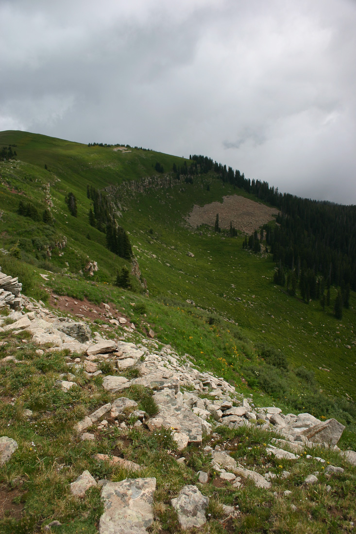 August 08, 2008