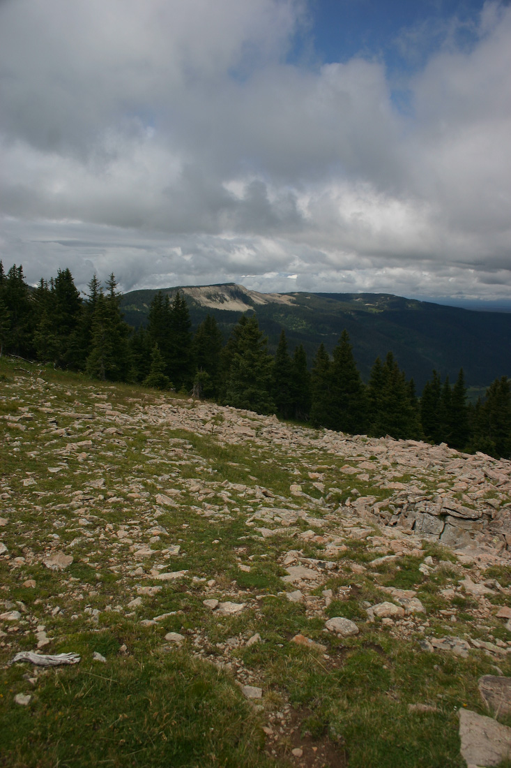August 08, 2008