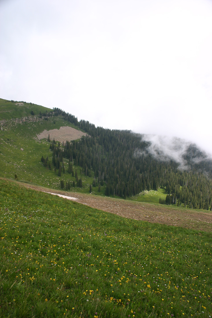 August 08, 2008