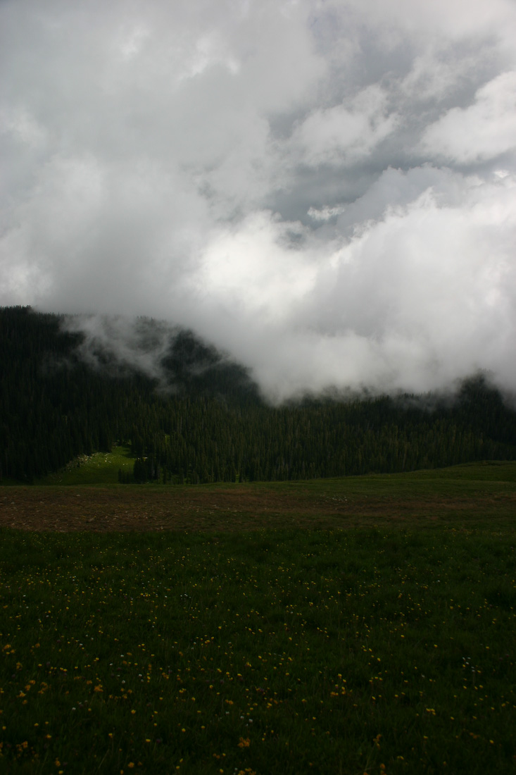 August 08, 2008