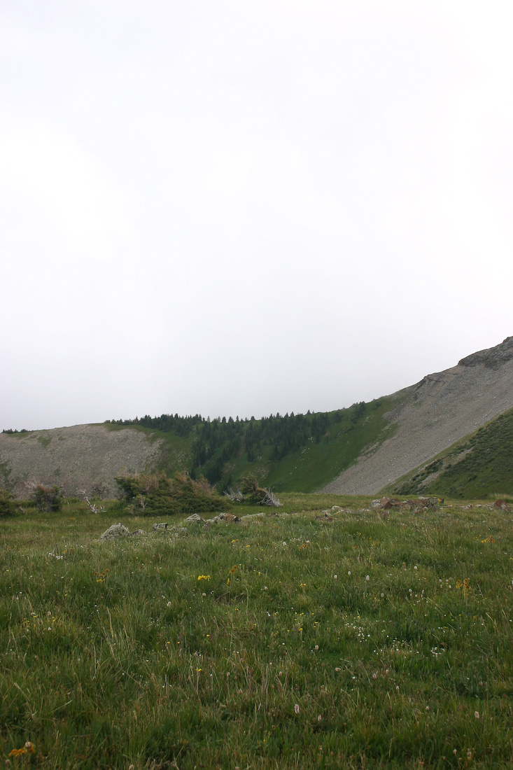 August 08, 2008
